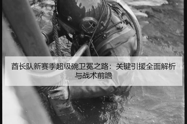 酋长队新赛季超级碗卫冕之路：关键引援全面解析与战术前瞻