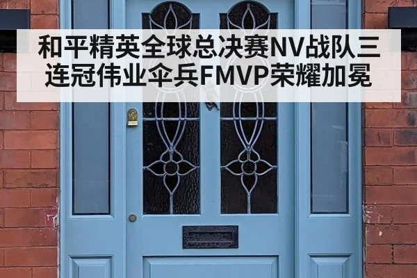 和平精英全球总决赛NV战队三连冠伟业伞兵FMVP荣耀加冕