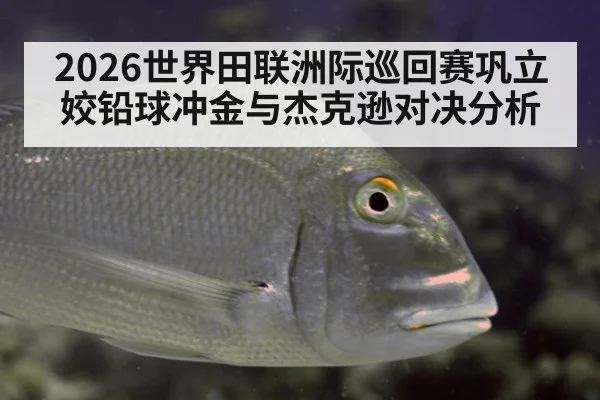 2026世界田联洲际巡回赛巩立姣铅球冲金与杰克逊对决分析